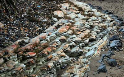 赤洲、塔門、深涌一天遊